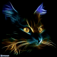 jefflovesluts's Avatar