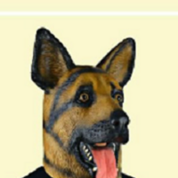 Zooaddicted's Avatar