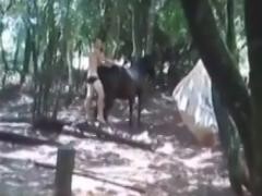 Boys having fun with donkey