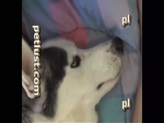 Thumb 16