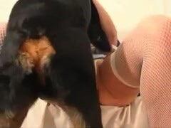 Perverted Blonde slut adores getting fucked by a dog