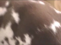 Thumb 16