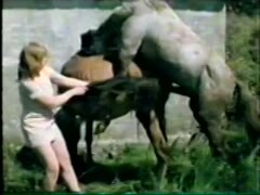 Pony fucks her pussy and ass Animal sex