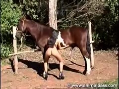 Brunette slutty lets horse fuck her