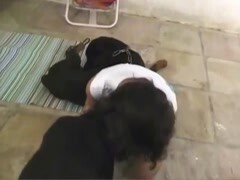 Naughty brunette fucked from behind in crazy dog sex video