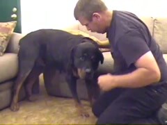 Gay fucks a dog or Defloration my dog