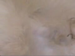 Thumb 12
