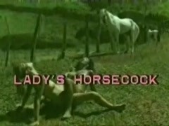 Horse sex with her out in the jarden