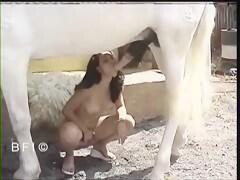 Bestiality videos - Woman screwed by a white horse