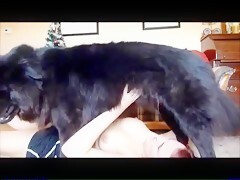 Erotic games with horny pet