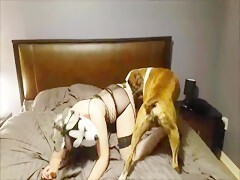 Masked woman in room is subdued by her clumsy dog