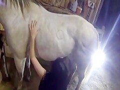 Real Girls With Horse And Blowjob