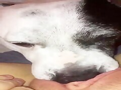 Thumb 13
