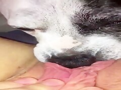 Thumb 17