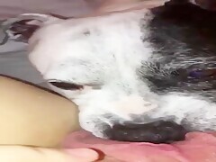 Thumb 7