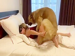 Girl Passionately Rides On Big Dick Before Bedtime