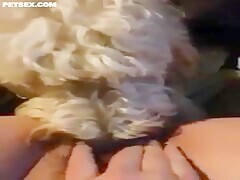Shy Innocent School Girl Playing With Dog on Camera for the first Time