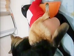 Asian Girl Cheats And Fucks With Dog