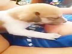 My doggy eats my tits