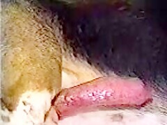 Thumb 12