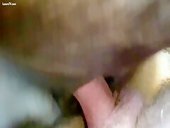 Penetrated To Her Mare