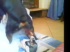 Thumb 7