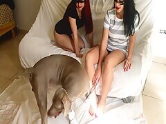 Hardcore Orgy With Porn Girls