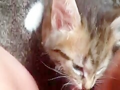 My cat eat my pussy hot