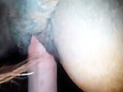 My cock on my horse