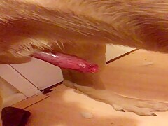 Thumb 20