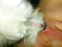 Thumb 13