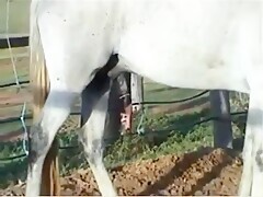 Thumb 12