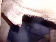 Thumb 12