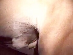 Thumb 18